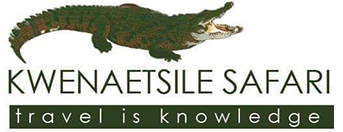 Kwenaetsile Safaris Logo-web-2